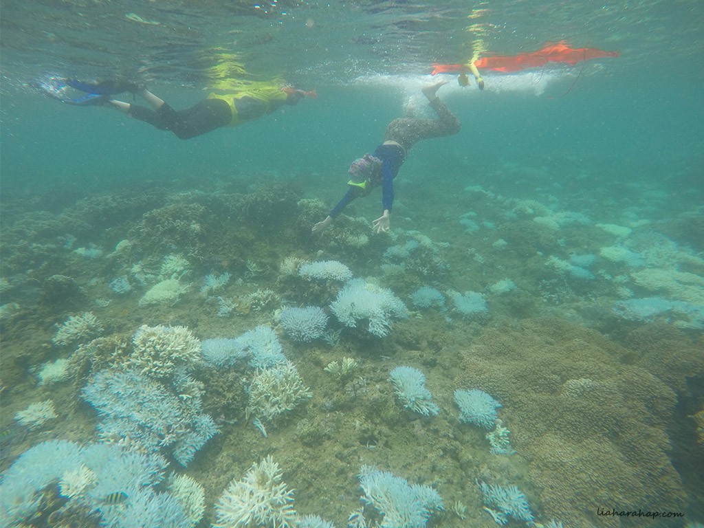 area-snorkeling-teluk-kiluan