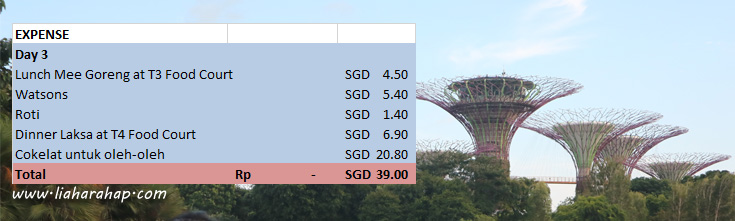 Singapore Itinerary & Budget