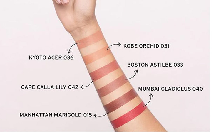 the body shop swatches
